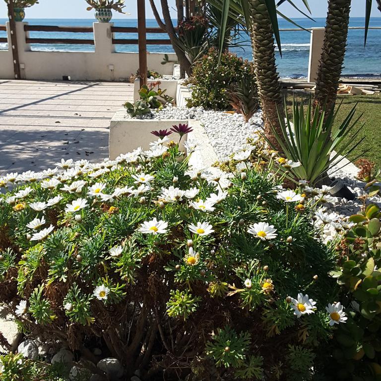 Hotel E Residence Il Faro Acciaroli Eksteriør bilde